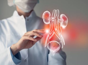 Female doctor touches virtual Bladder and Kidneys in hand. Blurred photo, handrawn human organ, highlighted red as symbol of disease. Healthcare hospital service concept stock photo